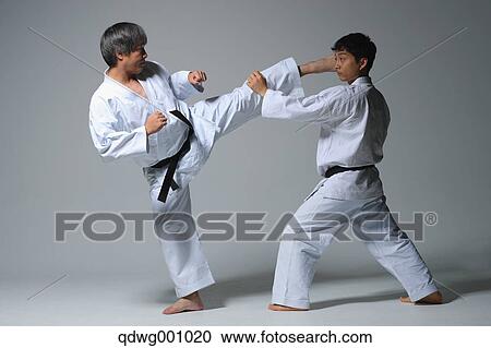 Japanese karate masters fighting View Large Photo Image Stock Image - Japanese karate masters fighting. Fotosearch