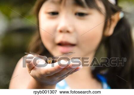 Japanese kid playing at the river View Large Photo Image Stock Photo - Japanese kid playing at the river. Fotosearch