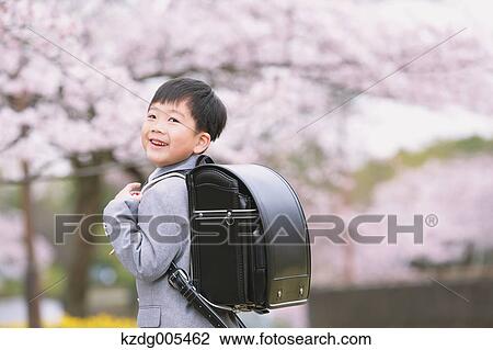 Japanese kid with cherry blossoms in a city park View Large Photo Image Stock Image - Japanese kid with cherry blossoms in a city park. Fotosearch