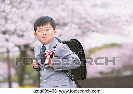 Japanese kid with cherry blossoms in a city park View Large Photo Image Stock Image - Japanese kid with cherry blossoms in a city park. Fotosearch
