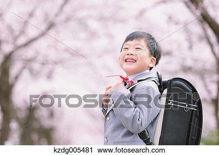 Stock Image - Japanese kid with cherry blossoms in a city park. Fotosearch