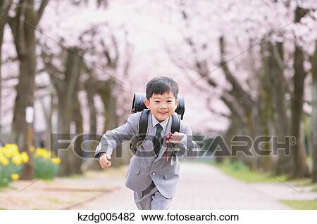 Stock Image - Japanese kid with cherry blossoms in a city park. Fotosearch