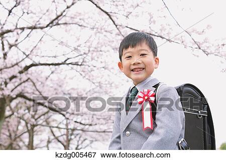 Stock Photo - Japanese kid with cherry blossoms in a city park. Fotosearch