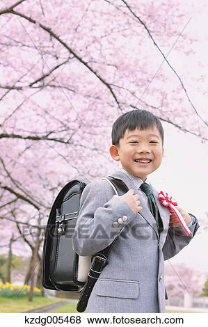 Japanese kid with cherry blossoms in a city park View Large Photo Image Stock Photo - Japanese kid with cherry blossoms in a city park. Fotosearch