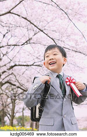 Japanese kid with cherry blossoms in a city park View Large Photo Image Stock Photo - Japanese kid with cherry blossoms in a city park. Fotosearch