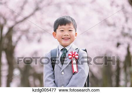 Stock Photo - Japanese kid with cherry blossoms in a city park. Fotosearch