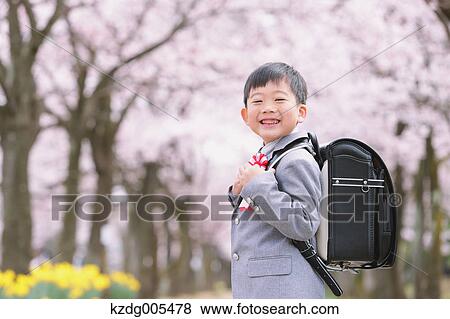 Stock Photo - Japanese kid with cherry blossoms in a city park. Fotosearch