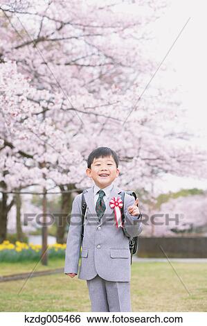 Japanese kid with cherry blossoms in a city park View Large Photo Image Stock Photograph - Japanese kid with cherry blossoms in a city park. Fotosearch