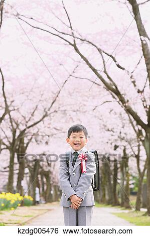 Japanese kid with cherry blossoms in a city park View Large Photo Image Stock Photograph - Japanese kid with cherry blossoms in a city park. Fotosearch