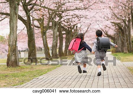 Japanese kids with cherry blossoms in a city park View Large Photo Image Stock Image - Japanese kids with cherry blossoms in a city park. Fotosearch