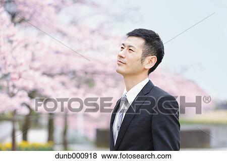 Japanese man with cherry blossoms in a city park View Large Photo Image Stock Photo - Japanese man with cherry blossoms in a city park. Fotosearch