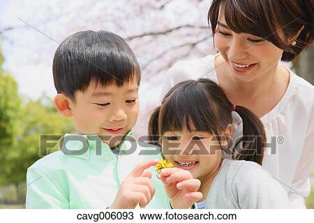 Stock Image - Japanese mother and kids with cherry blossoms in a city park. Fotosearch