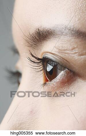 Japanese woman eyes close-up View Large Photo Image Stock Photography - Japanese woman eyes close-up. Fotosearch