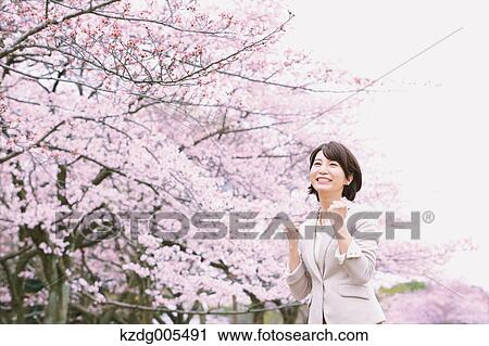Japanese woman with cherry blossoms in a city park View Large Photo Image Stock Image - Japanese woman with cherry blossoms in a city park. Fotosearch
