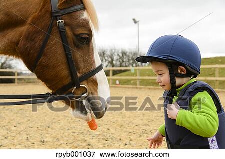 Kid feeding horse View Large Photo Image Stock Photo - Kid feeding horse. Fotosearch