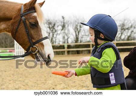 Kid feeding horse View Large Photo Image Stock Photograph - Kid feeding horse. Fotosearch