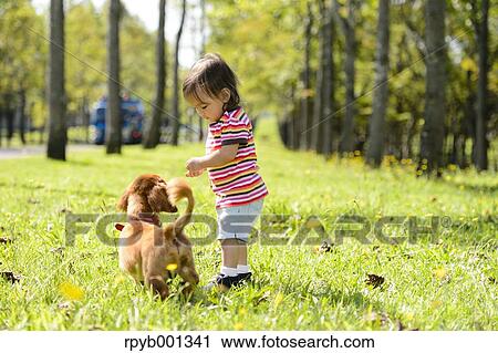 Kid playing with dog in a city park View Large Photo Image Stock Image - Kid playing with dog in a city park. Fotosearch