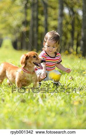 Kid playing with dog in a city park View Large Photo Image Stock Image - Kid playing with dog in a city park. Fotosearch