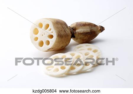 Picture - Lotus root. Fotosearch