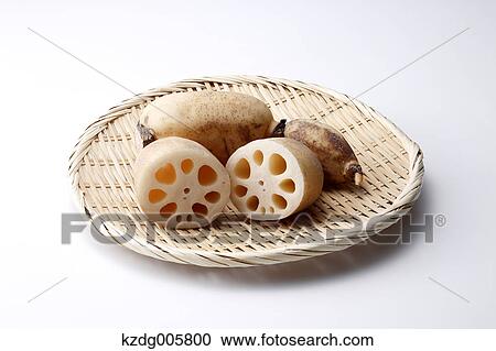 Stock Image - Lotus root. Fotosearch