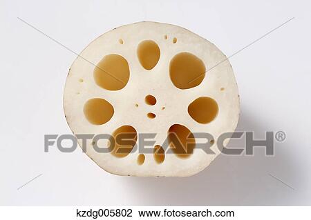 Stock Image - Lotus root. Fotosearch