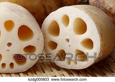 Stock Image - Lotus root. Fotosearch