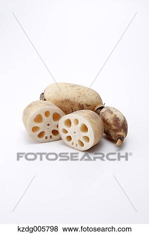 Stock Photo - Lotus root. Fotosearch
