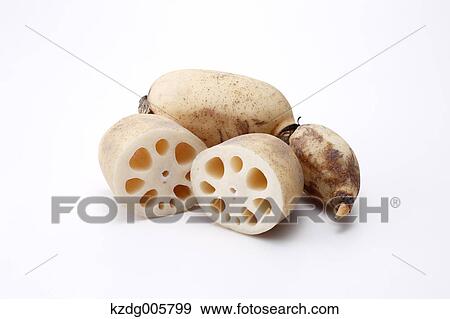Lotus root View Large Photo Image Stock Photo - Lotus root. Fotosearch
