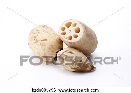 Lotus root View Large Photo Image Stock Photograph - Lotus root. Fotosearch