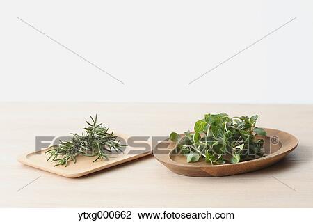 Mint View Large Photo Image Stock Image - Mint. Fotosearch