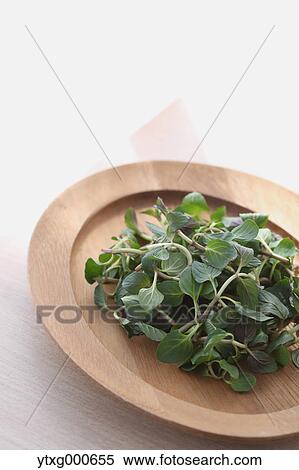 Mint View Large Photo Image Stock Photography - Mint. Fotosearch