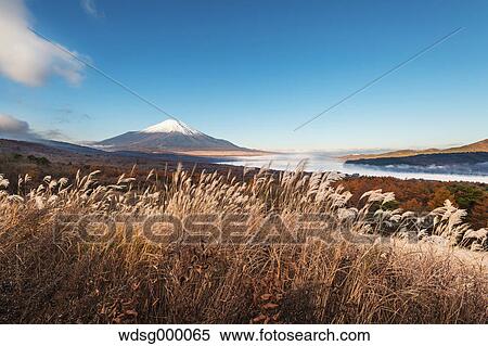 Morning light illuminating Mount Fuji and Lake Yamanaka with Autumn leaves, Yamanashi Prefecture, Japan View Large Photo Image Stock Photography - Morning light illuminating Mount Fuji and Lake Yamanaka with Autumn leaves, Yamanashi Prefecture, Japan. Fotosearch