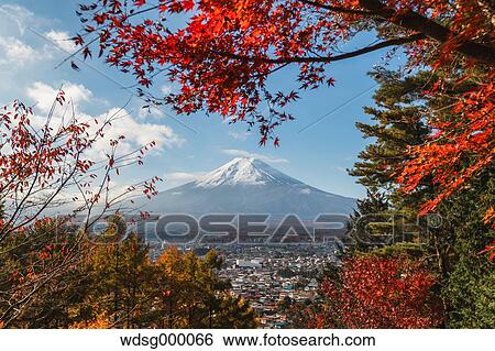 Stock Photograph - Mount Fuji and Autumn leaves from Arakura Sengen Shrine, Yamanashi Prefecture, Japan. Fotosearch