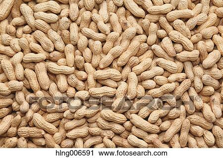 Peanuts View Large Photo Image Stock Image - Peanuts. Fotosearch