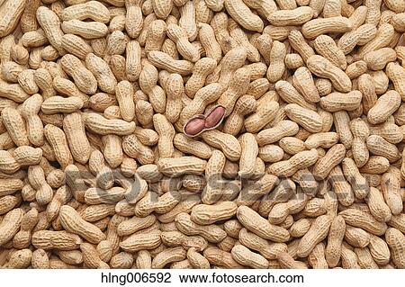 Peanuts View Large Photo Image Stock Image - Peanuts. Fotosearch