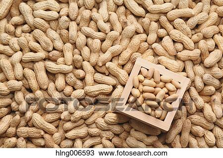 Peanuts View Large Photo Image Stock Image - Peanuts. Fotosearch