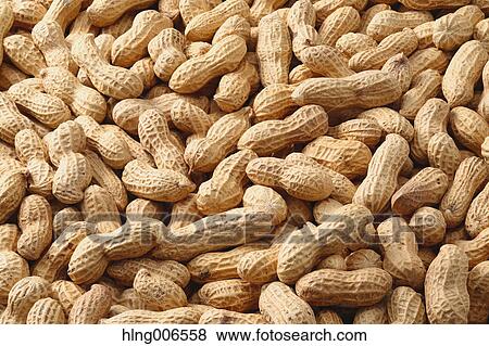 Peanuts View Large Photo Image Stock Photo - Peanuts. Fotosearch