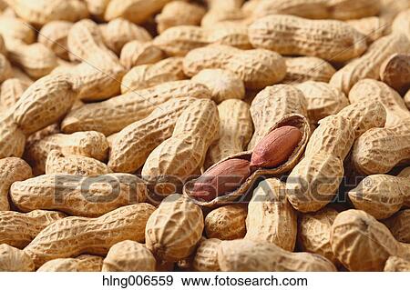 Peanuts View Large Photo Image Stock Photo - Peanuts. Fotosearch