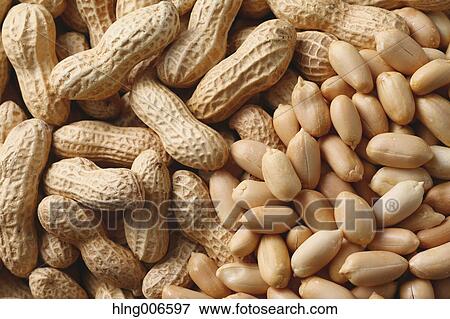 Peanuts View Large Photo Image Stock Photo - Peanuts. Fotosearch