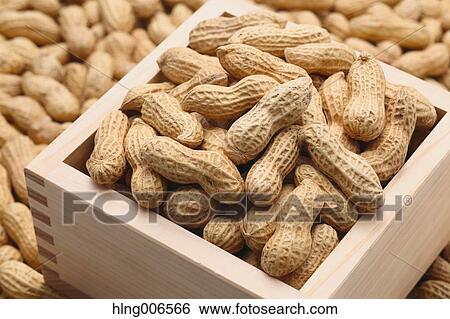 Peanuts View Large Photo Image Stock Photograph - Peanuts. Fotosearch