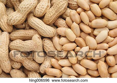 Peanuts View Large Photo Image Stock Photograph - Peanuts. Fotosearch