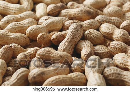 Peanuts View Large Photo Image Stock Photography - Peanuts. Fotosearch