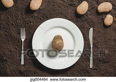 Potato an a white dish on soil View Large Photo Image Picture - Potato an a white dish on soil. Fotosearch