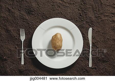 Potato an a white dish on soil View Large Photo Image Stock Image - Potato an a white dish on soil. Fotosearch