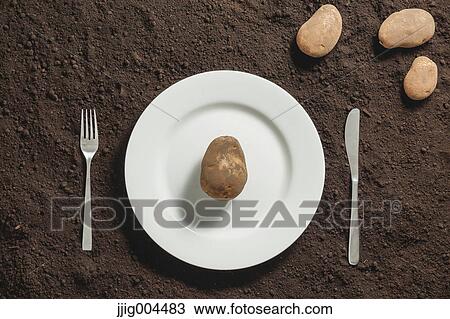 Potato an a white dish on soil View Large Photo Image Stock Image - Potato an a white dish on soil. Fotosearch