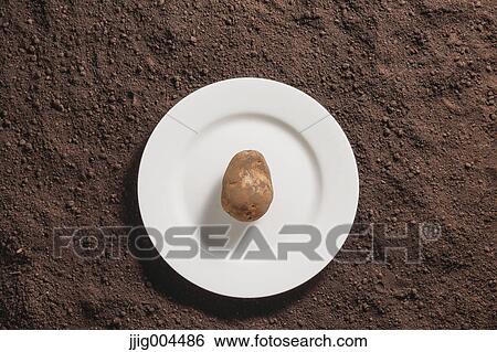 Stock Photograph - Potato an a white dish on soil. Fotosearch