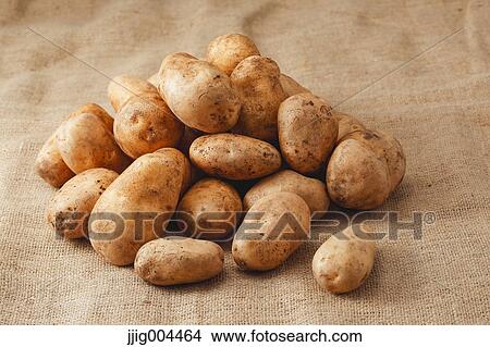 Picture - Potatoes. Fotosearch