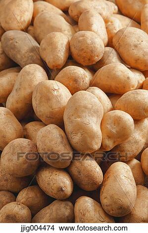 Potatoes View Large Photo Image Picture - Potatoes. Fotosearch