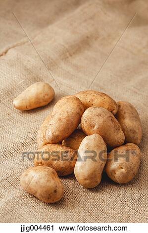 Stock Image - Potatoes. Fotosearch