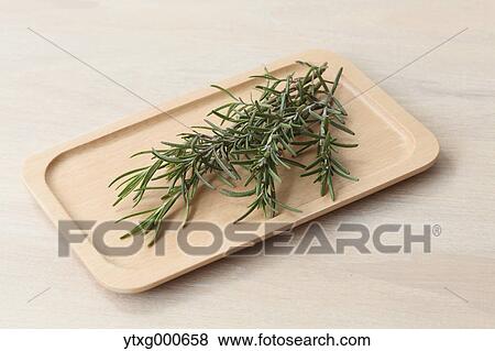 Rosemary View Large Photo Image Stock Photo - Rosemary. Fotosearch